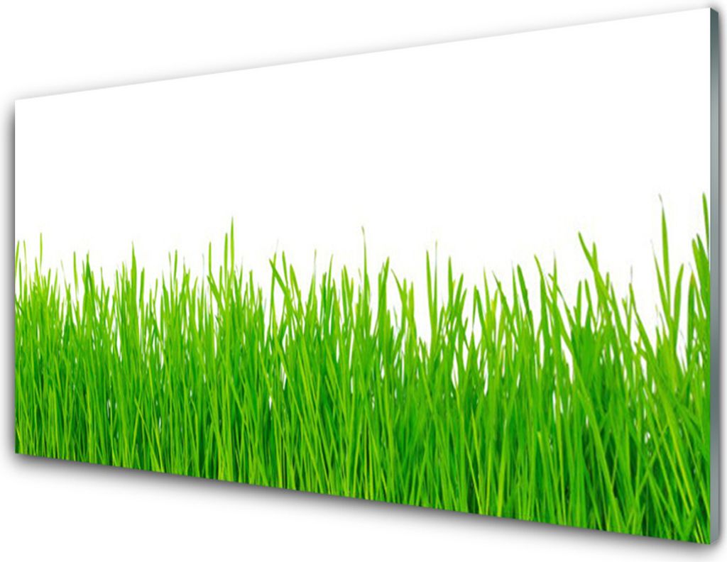 Acrylglasbilder 100x50 Wandbild Druck Gras Natur Produktbild 