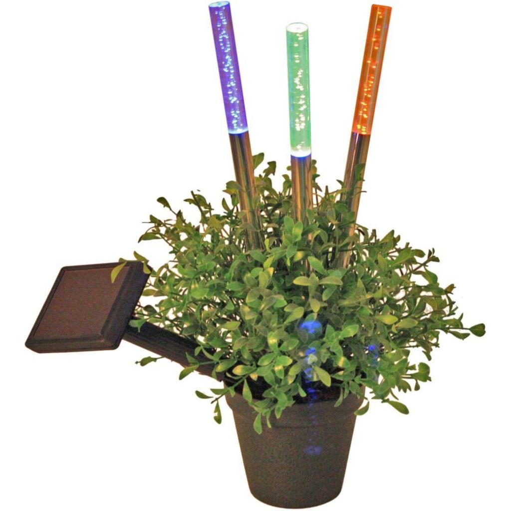 A potted plant with three solar-powered LED light sticks.