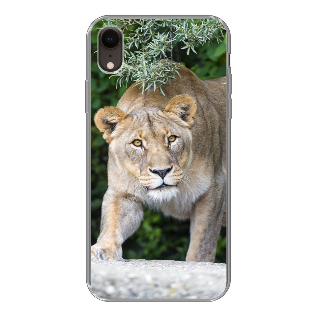 MuchoWow Handyhülle Schutzhülle Hülle für iPhone XR Löwinnen - Wilde Tiere - Jagd Silikon Softcase Handy Hülle - Schutzdeckel