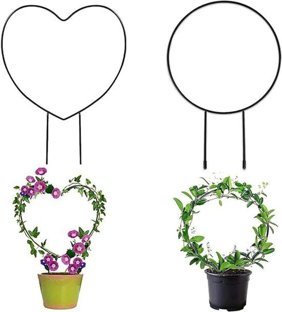 Tuteurs pour plantes d'intérieur - Lot de 4 supports en forme de cœur