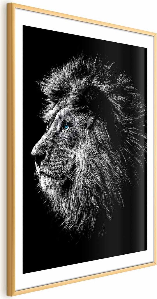 Posterpapier Poster - Blue-eyed Lion 60x90 cm Tiere g-C-0122-ao-a