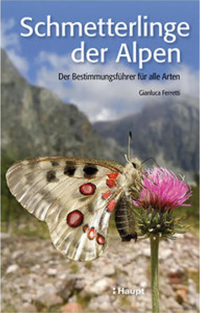 Schmetterlinge der Alpen avec illustrations HD et fiches entomologiques