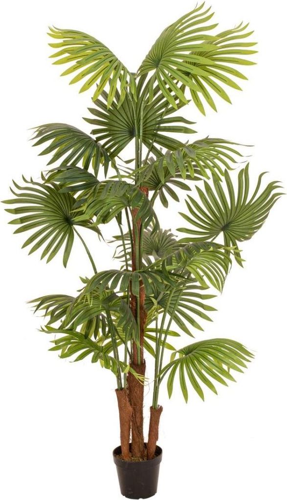 artplants.de Kunststoff Palme Livistona rotundifolia Trio GHADA, 165cm - Künstliche Palme