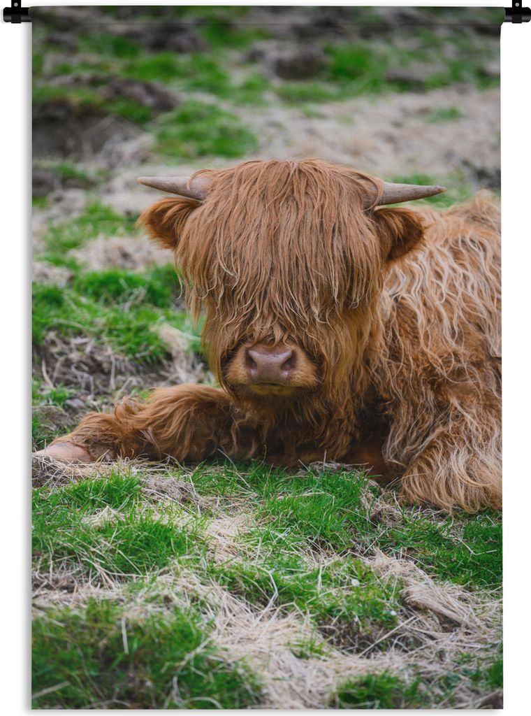 MuchoWow Wandteppich Wandbehang Schottischer Highlander - Heu - Gras 60x90 cm Tapisserie Dekoration Wandtuch - Foto-Teppich - Abwaschbar