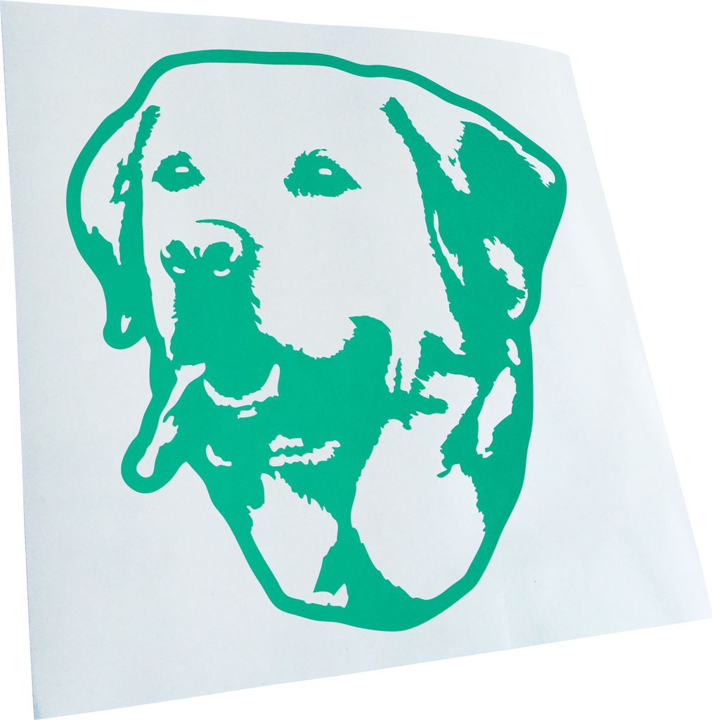 Kiwistar - Autoaufkleber - Golden retriever Hund - Türkis - 30x27cm - Aufkleber für Auto, Laptop, Fahrrad, LKW, Motorrad mehrfarbig JDM Decal Racing