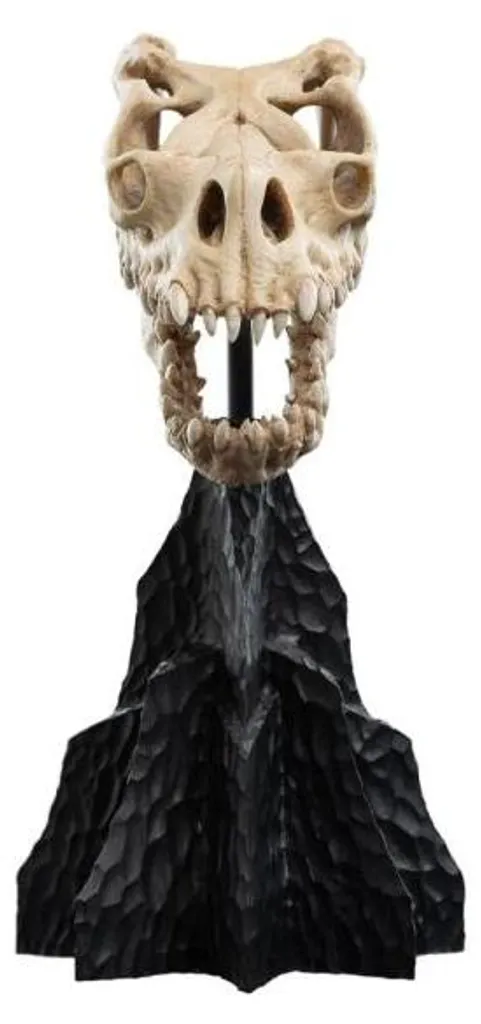 Objet de Collection Crâne de Bête Qualité Musée pour Vitrine de Fantasy - 13