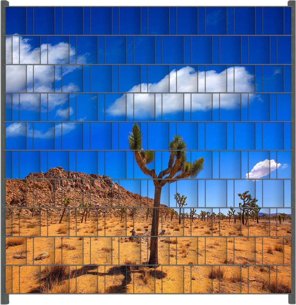 Wallario Zaunsichtschutz mit Motiv Palmlilie im Nationalpark Yucca Valley Wüstenlandschaft für Ein- und Doppelstabmatten Zäune in der Größe 20...