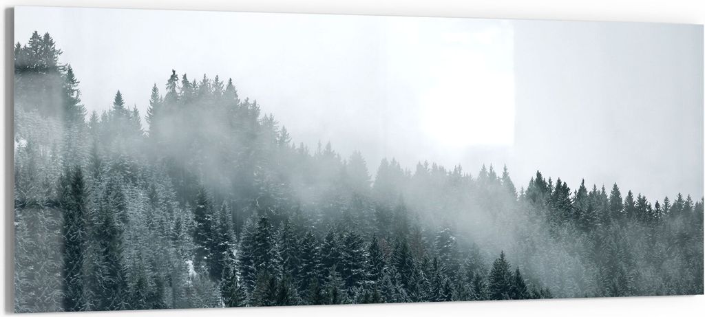 DEQORI Glasbild Echtglas 150x60 cm 'Nebel über Baumwipfeln' Wandbild Bild modern Deko