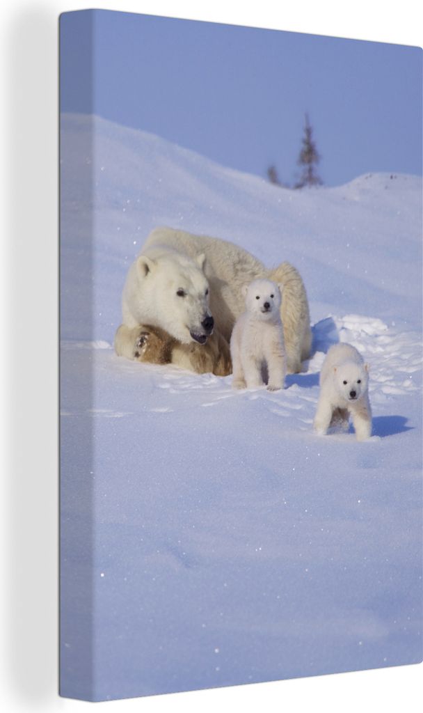 OneMillionCanvasses - Leinwandbilder - 90x140 cm, Eisbär - Kinder - Schnee, Wandbilder Kunstdruck Wanddekoration - Wandschmucke - Schlafzimmer