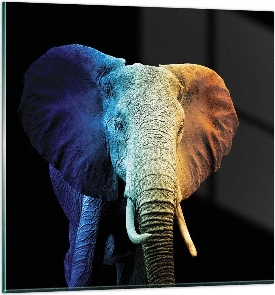 Bilder auf glas - Einteilig - Bunt Elefant Fotografie - 30x30cm - Glasbilder - Wandbilder - Bilder - zum Aufhängen bereit - Wanddekoration aus Gla...