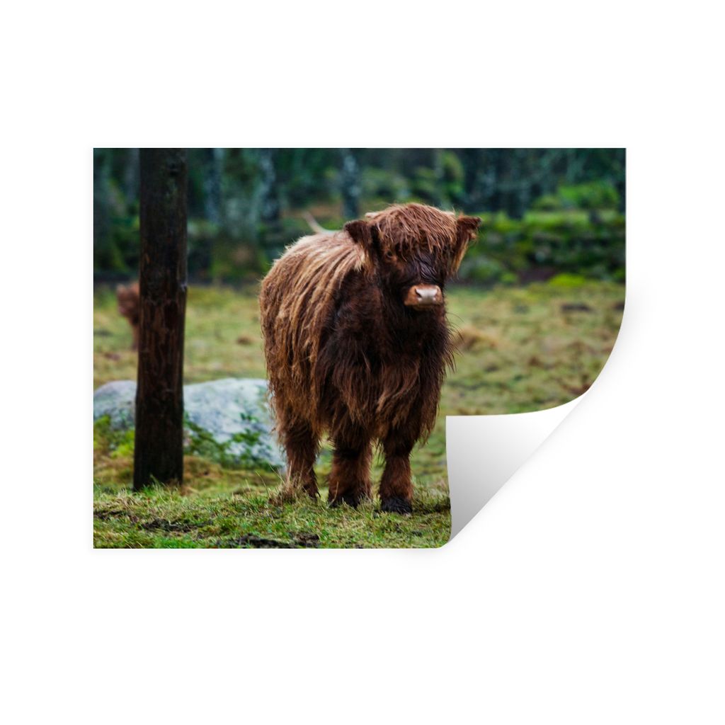 MuchoWow Wandtattoo Wandsticker Wandaufkleber Schottischer Hochländer - Wald - Moos 40x30 cm Selbstklebend und Repositionierbar - Faltenfrei