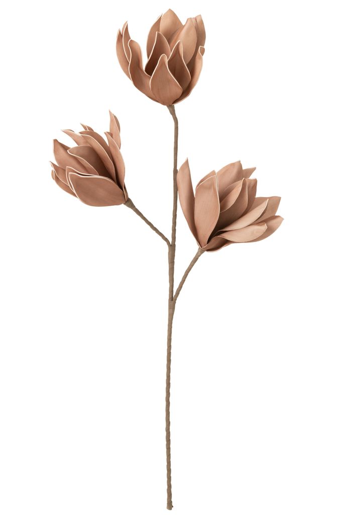 Blume ast kurz blätter 3 köpfe eva nude rosa
