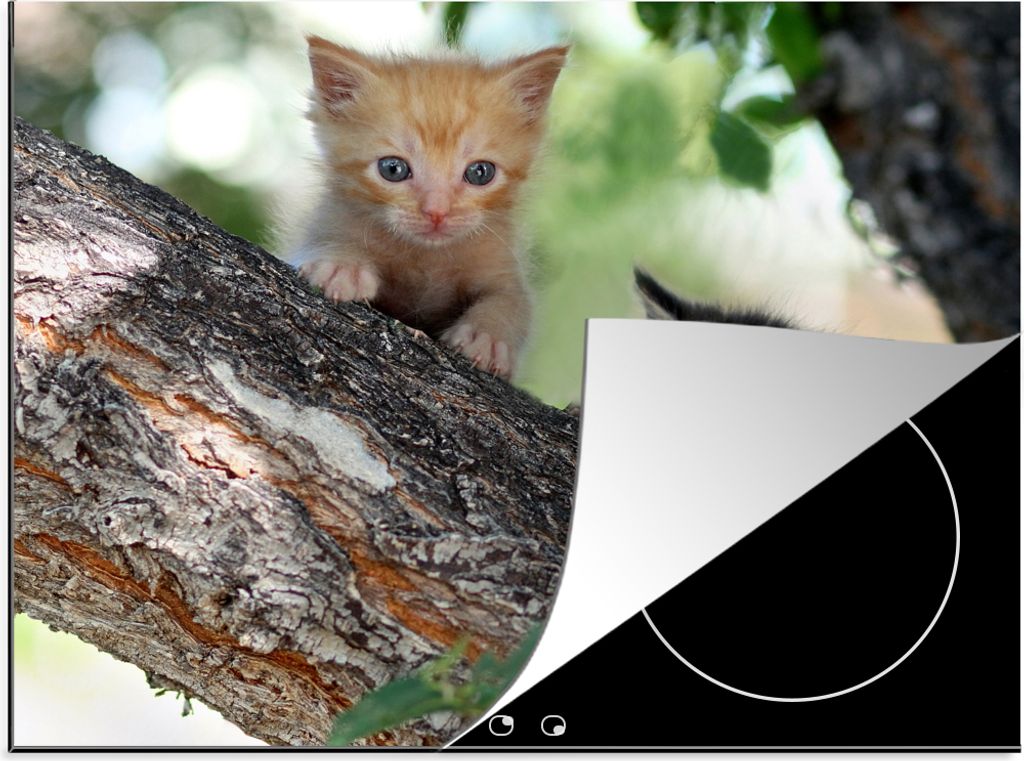 KitchenYeah Herdabdeckplatte Zwei Kätzchen klettern auf den Baum , 59x51cm, Küche Deko, Glaskeramikfeld Herdabdeckung, Abdeckplatte fùr Kochfeld