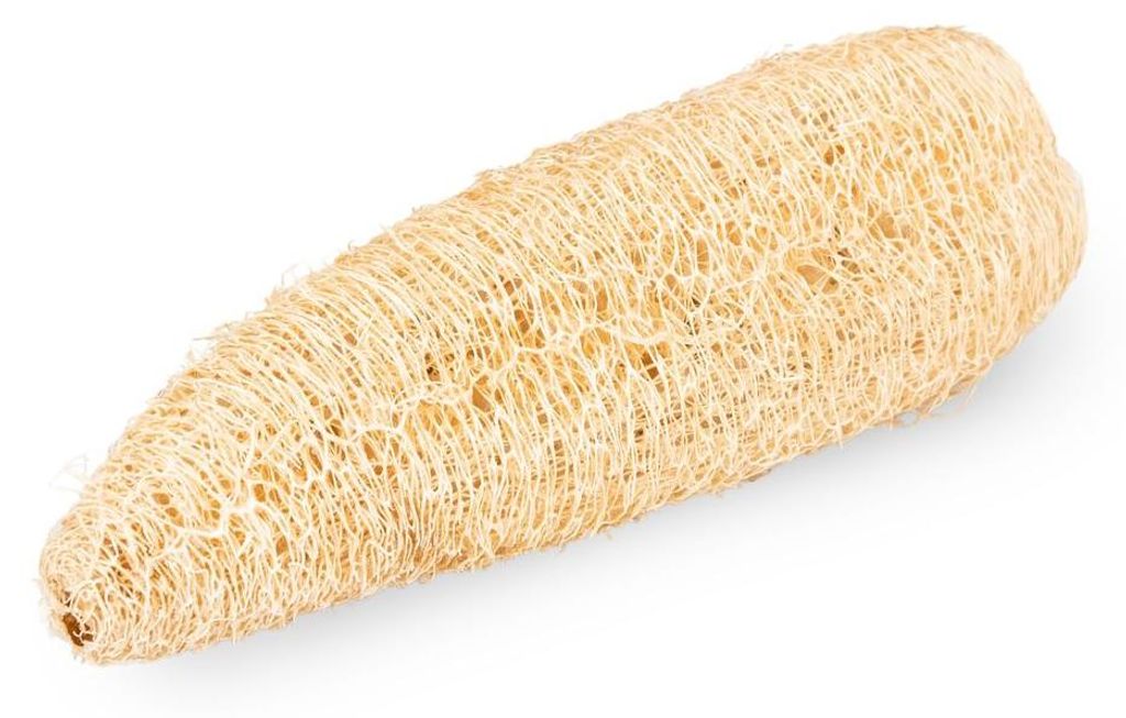 Schwammgurke geschält ca. 12-16 cm 4-6 cm Luffa aegyptiaca Produktbild 