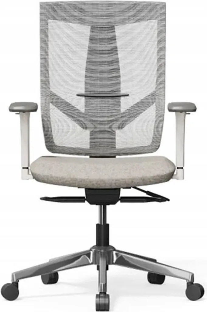 Fauteuil de bureau ergonomique gris BS6G-Lite - Siège pivotant réglable - 2
