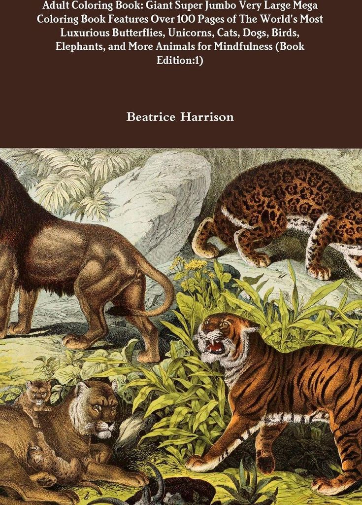 Adult Coloring Book