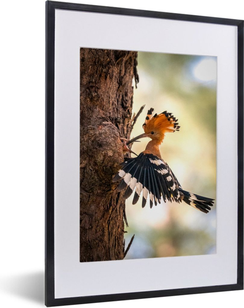 MuchoWow MuchoWow Gerahmtes Poster Vogel - Baum - Wald 30x40 cm - Poster mit zchwarzem Bilderrahmen - Wandposter Schlafzimmer