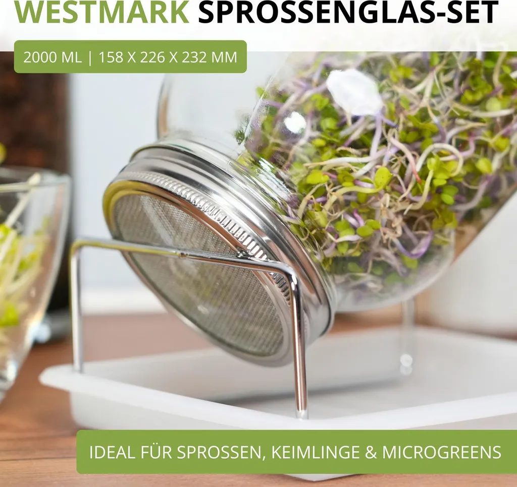 Westmark Sprossenglas-Set, 1 Glas, 2000 ml, 66652260 - 6