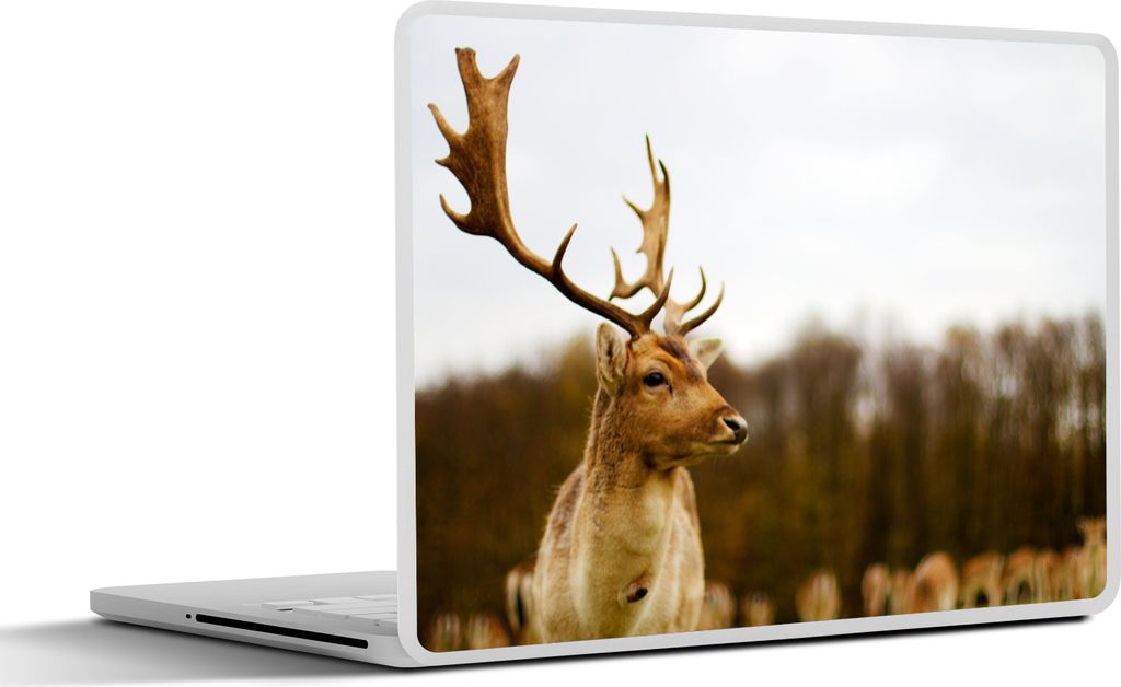 MuchoWow Laptop Aufkleber Sticker Cover Damhirsch - Wald - Herde - Tiere - Natur 25x18 cm - Laptop-Deko
