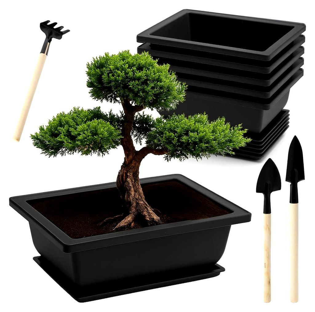 6 Stück Bonsai-Schalen mit Untersetzern und kleinem Gartenwerkzeug-Set, 16,5 x 12 x 6 cm
