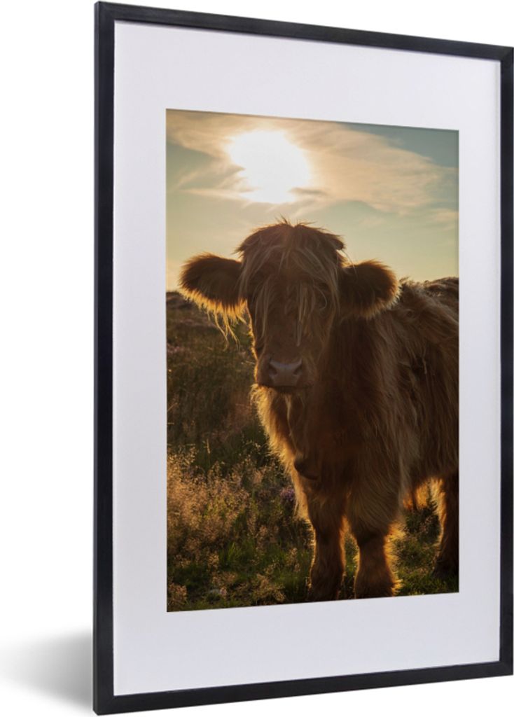 MuchoWow MuchoWow Gerahmtes Poster Schottisches Hochlandrind - Sonnenuntergang - Gras 40x60 cm - Poster mit zchwarzem Bilderrahmen - Poster in ...