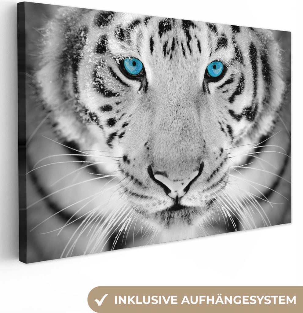 MuchoWow - Leinwandbilder - Tiere - Tiger - Augen - Blau - Schwarz und weiß, Wandbild, Wanddeko Bilder Wohnzimmer, 30x20 cm