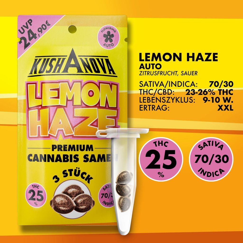 Kushanova Saatgut Set - Lemon Haze