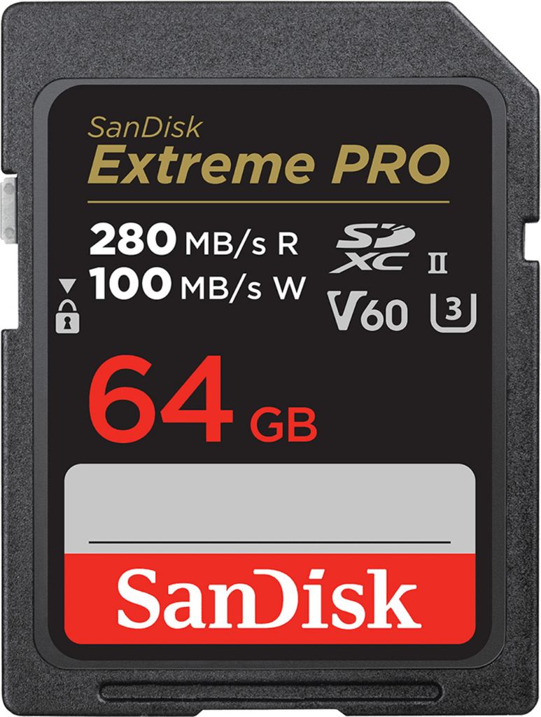 SanDisk SDSDXEP-064G-GN4IN - 64 GB - SDXC - Classe 10 - Immagine del prodotto 