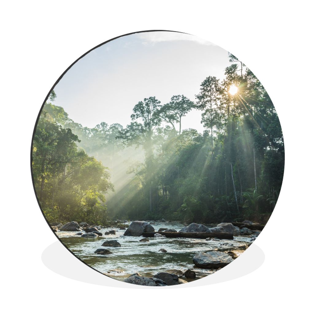 MuchoWow Aluminium Wandkreis Die Sonne scheint auf einen Fluss in einem malaysischen Wald Ø 60 cm Wanddeko Modern Wohnzimmer - Wand Kreis - Wand...
