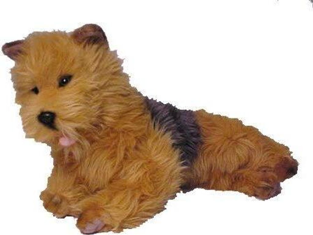 Luigi Bocchetta: Australischer Terrier liegend, Plüsch, Produktbild 