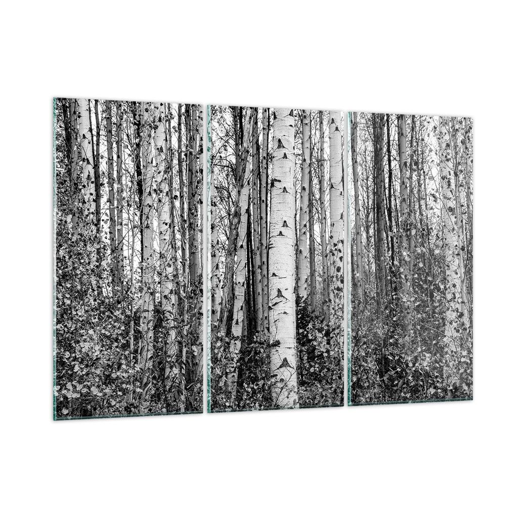 Bilder auf glas - 3 Teile - Birken Wald Monochrom - 165x110cm - Glasbilder - Wandbilder - Bilder - zum Aufhängen bereit - Wanddekoration aus Glas ...
