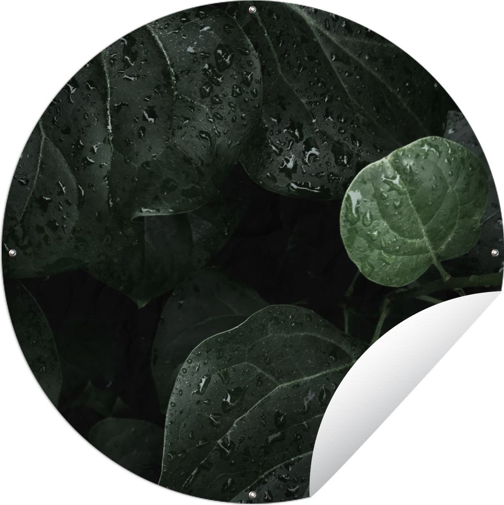 MuchoWow Gartenposter Outdoor-Poster Rund Nahaufnahme von Regentropfen auf großen Blättern Ø 120 cm Gartendeko Rundes Poster draußen