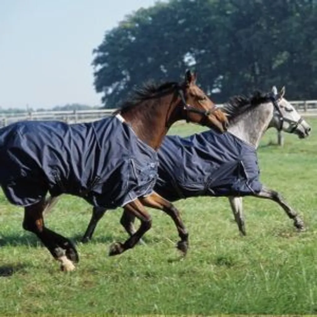 Eskadron Couverture de pré marine 0g doublée polaire pour chevaux