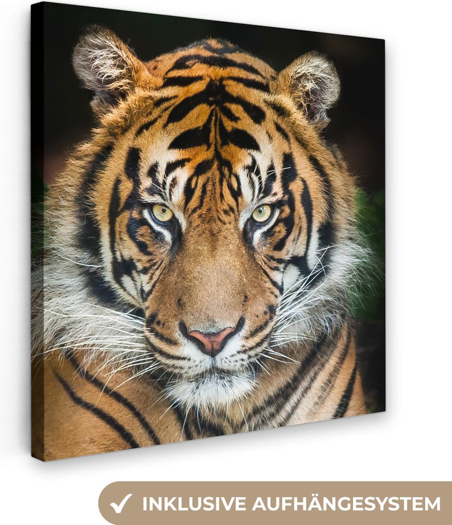 MuchoWow - Leinwandbilder - Tiger - Schwarz, Wandbild, Wanddeko Bilder Wohnzimmer, 50x50 cm