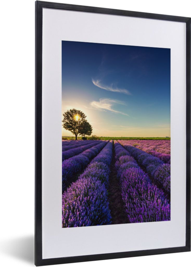 MuchoWow Gerahmtes Poster Lavendel - Sonne - Baum - Blumen - Lila 40x60 cm - Poster mit Schwarzem Bilderrahmen Wandposter Rahmen Foto Bilder - Po...