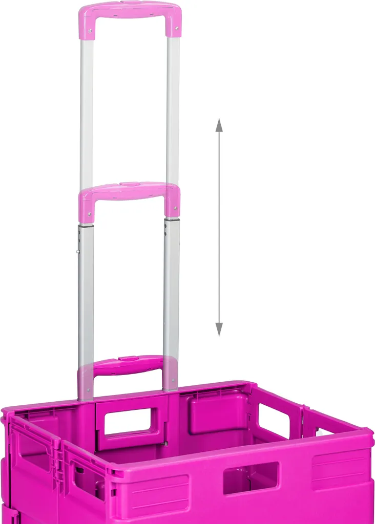 Relaxdays Carrello Spesa Pieghevole Prezzo Offerta - Trolley 50L