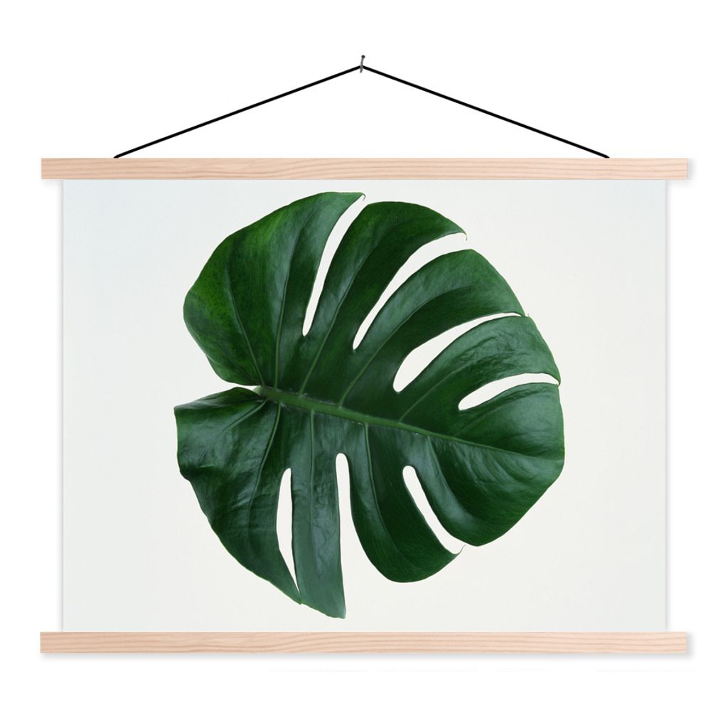 MuchoWow Textilposter Eine grüne botanische Lochpflanze 120x90 cm mit holzfarbenen Rahmen - Magnetisch