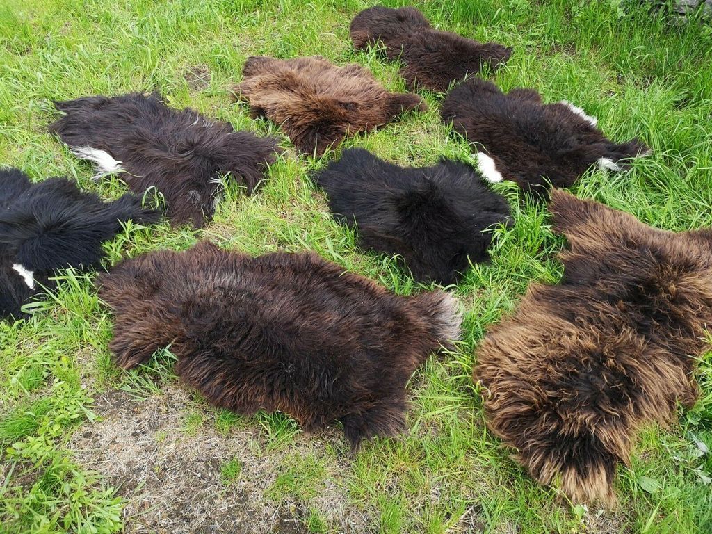 Öko Schaffell Braun – Echtes Lammfell, , Schnäppchen, eher kurz (2cm - 5cm) 70-80cm lang