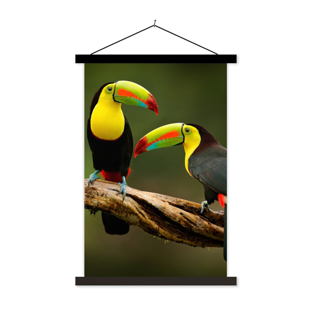 MuchoWow Textilposter Vögel - Tukan - Zweig - Tiere - Regenbogen 40x60 cm mit schwarzem Rahmen - Wanddekorationen