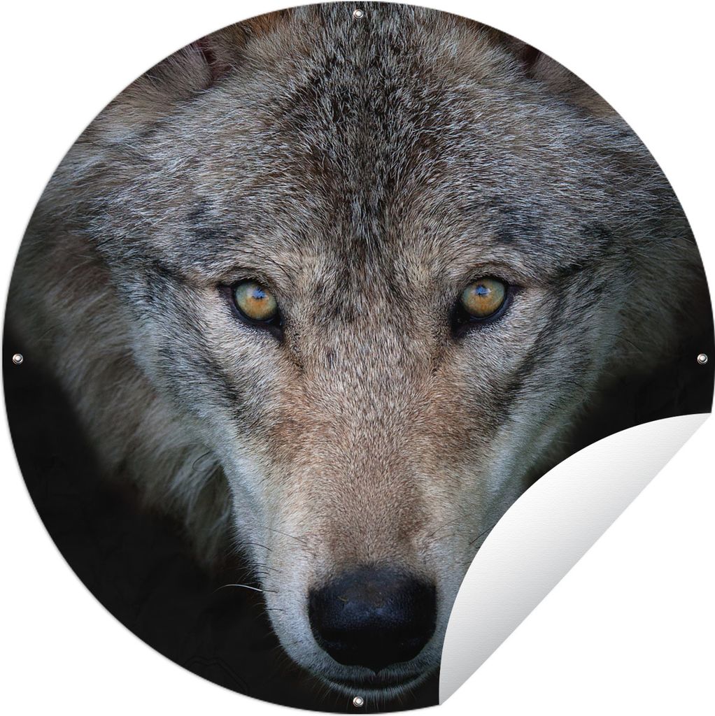MuchoWow Gartenposter Outdoor-Poster Rund Wolf - Porträt - Schwarz Ø 150 cm Gartendeko Rundes Poster draußen