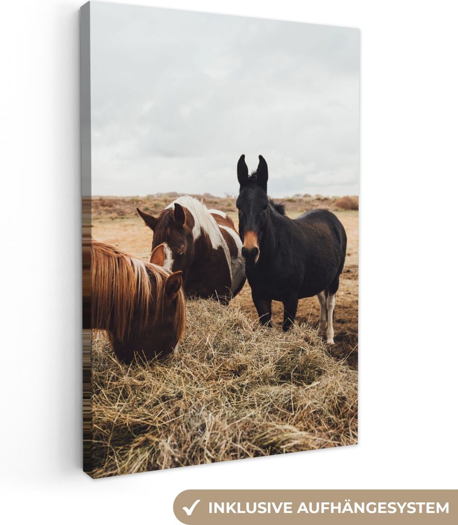 MuchoWow - Leinwandbilder - Tiere - Pferd, Wandbild, Wanddeko Bilder Wohnzimmer, 80x120 cm