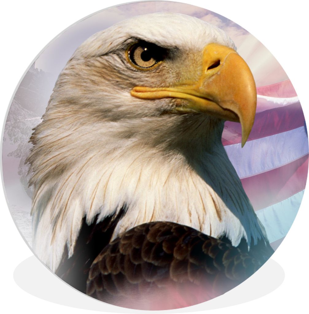 MuchoWow Rundes Wandbild - Runde Bilder Ein amerikanischer Weißkopfseeadler mit einer amerikanischen Flagge und Bergen Ø 60 cm Kreis Wanddekora...