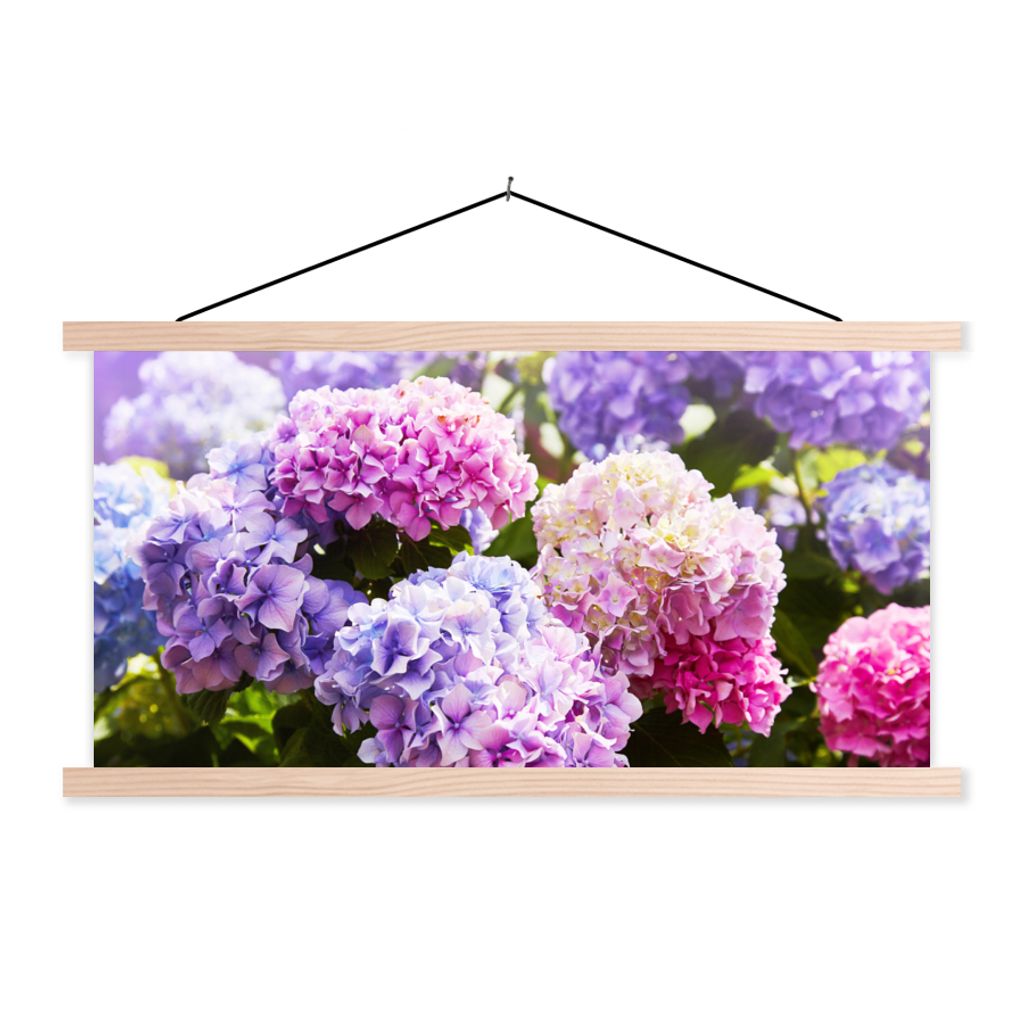 MuchoWow Textilposter Blumen - Hortensie - Rosa - Blätter - Sonne 120x60 cm mit holzfarbenen Rahmen - Klemmleiste
