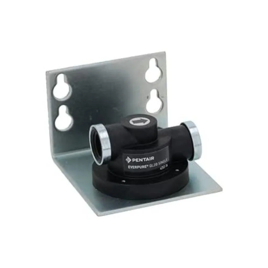 Tête de filtre Everpure QL2B pour machine à café et traitement eau