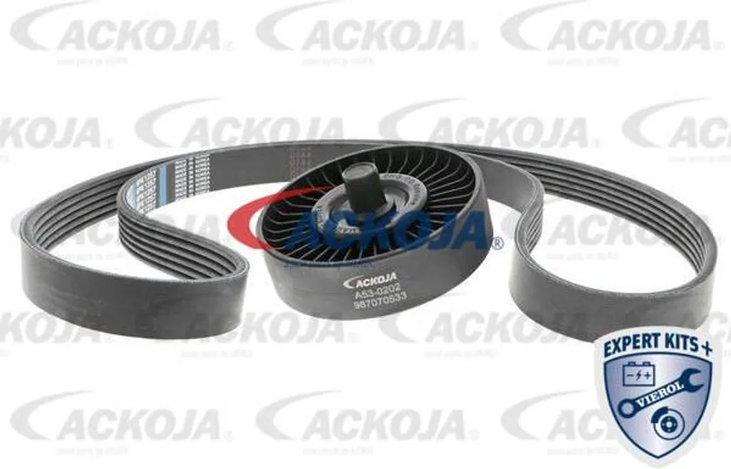 Courroie trapézoïdale crantée ACKOJA A53-0202 haute résistance pour Kia Rio