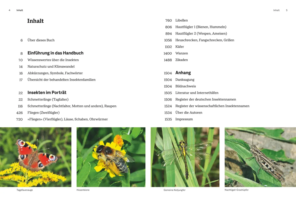 Das große BLV Handbuch Insekten : le guide de référence des insectes