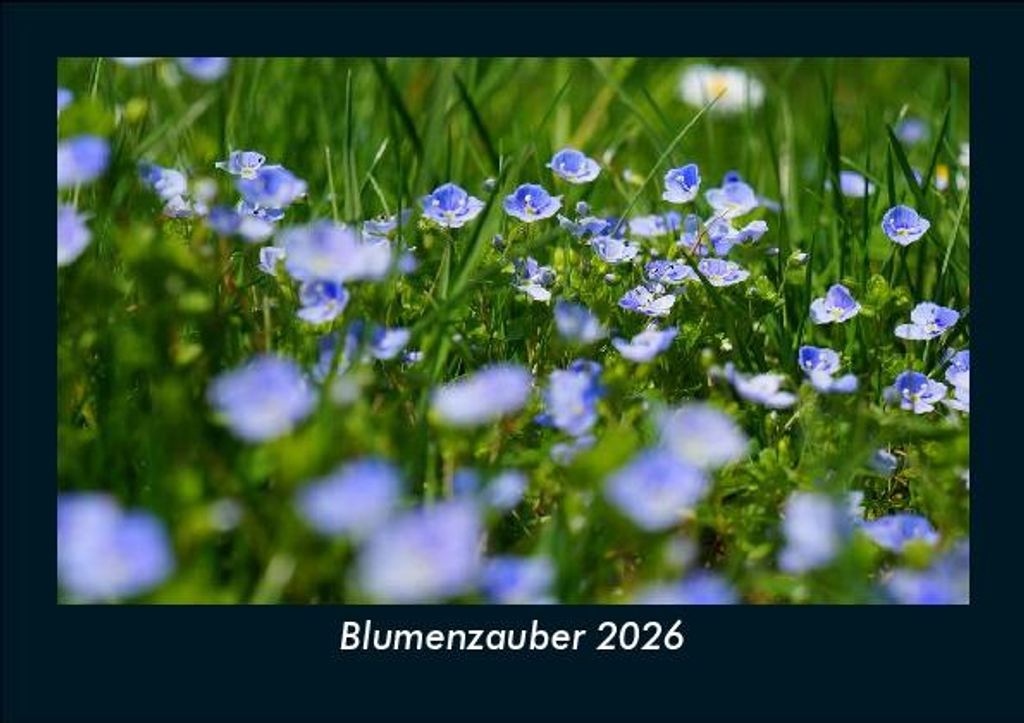Blumenzauber 2026 Fotokalender - Querformat DIN A5, Monatskalender mit Bild-Motiven aus Fauna und Flora, Natur, Blumen und Pflanzen