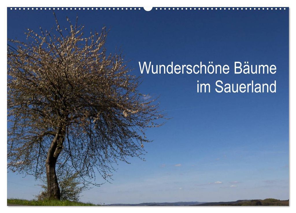 Wunderschöne Bäume im Sauerland (Wandkalender 2027 DIN A2 quer), CALVENDO Monatskalender