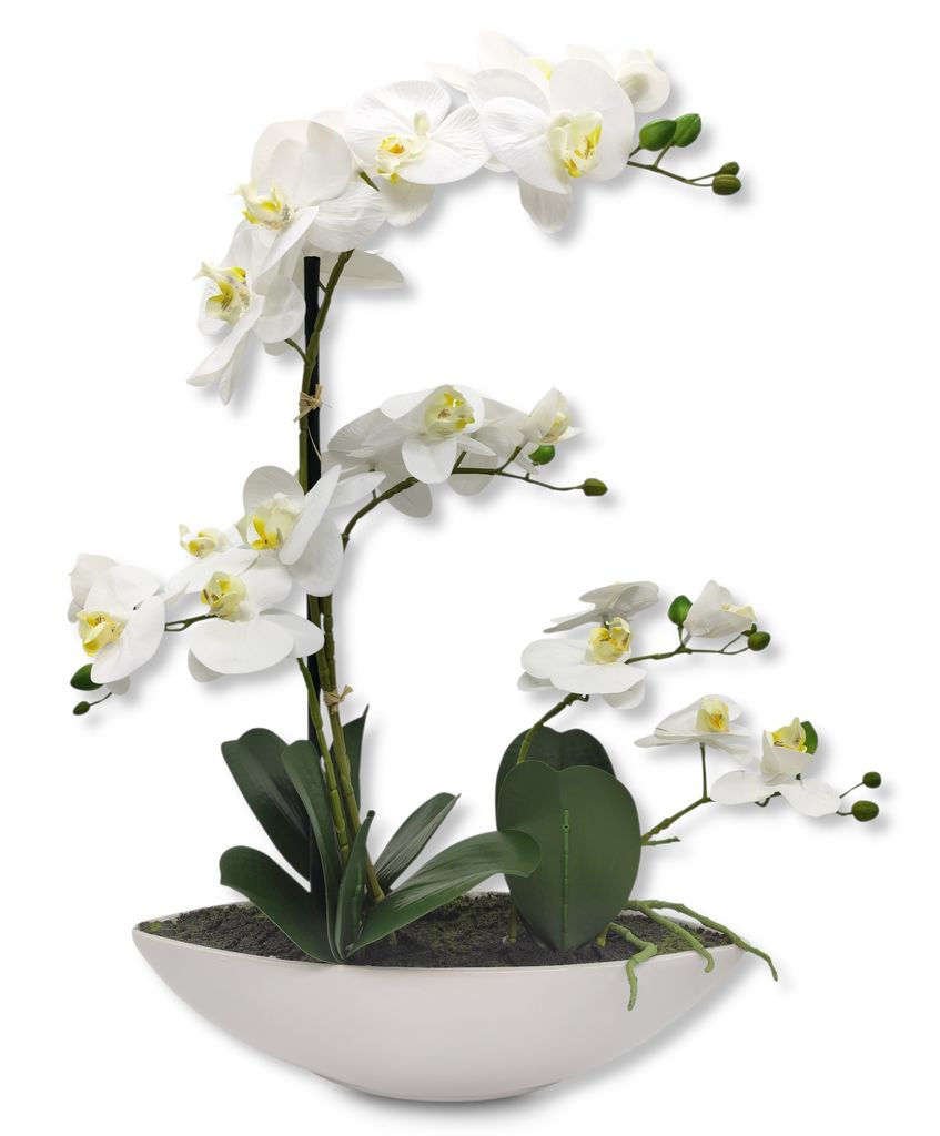 Orchidee Phalaenopsis Künstliche Blumen Kunstpflanze Kunstblume flowers 