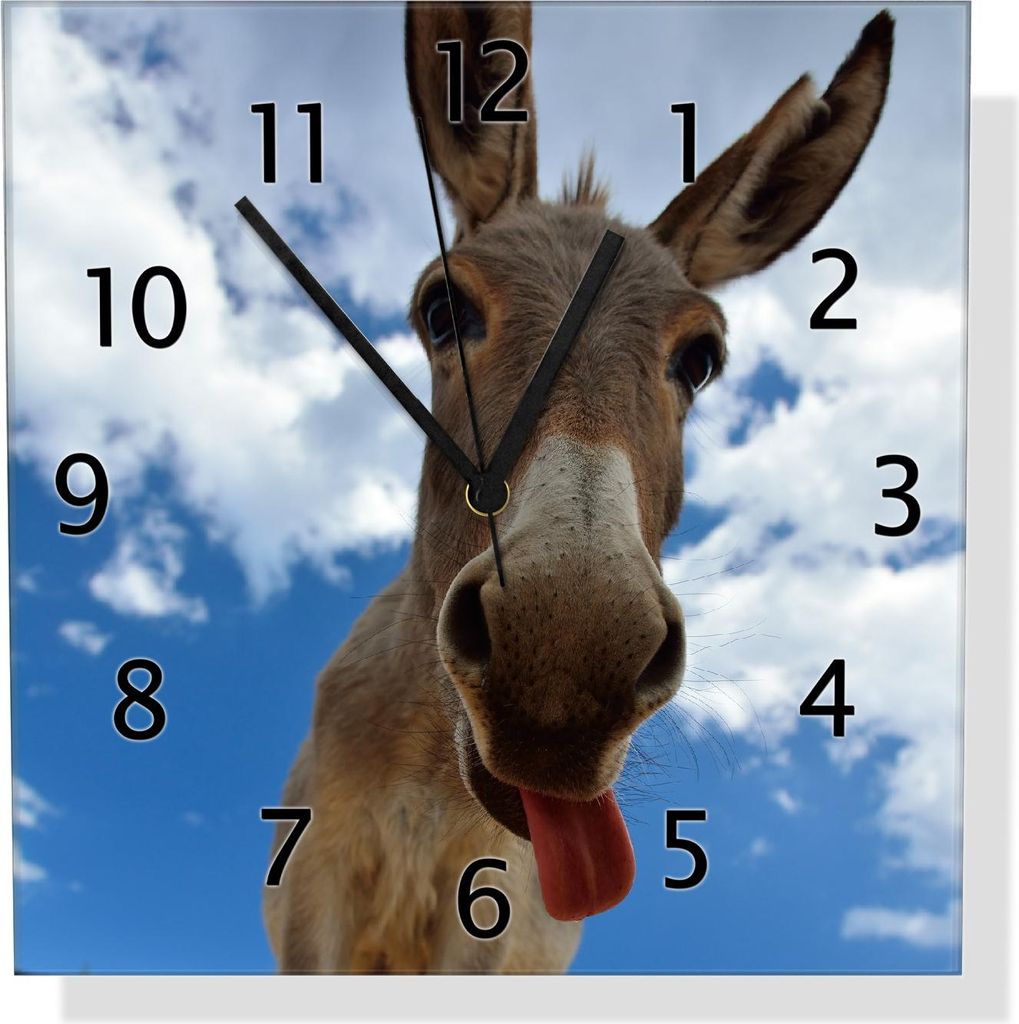 Wallario Design Wanduhr Frecher Esel aus Echtglas, Größe 30 x 30 cm